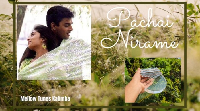 IMG_20220304_081511-e644b8f3-702x390 Pachai nirame -Alaipayuthey 