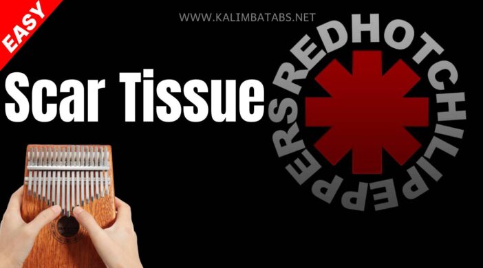 scar-tissue-e1af1492-702x390 🌶️ Red Hot Chili Peppers - Scar Tissue  