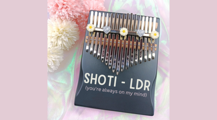 Shoti-LDR-702x390 LDR - Shoti (kalimba tabs) 