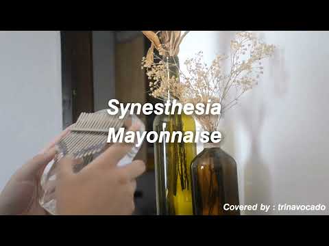 Mayonnaise-Synesthesia Mayonnaise - Synesthesia  