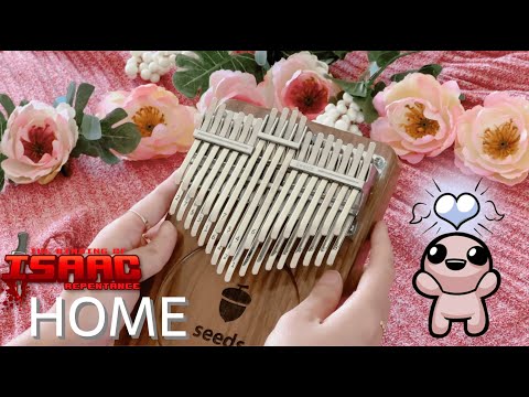 the-binding-isaac The Binding of Isaac: Repentance - Home (21 key) 