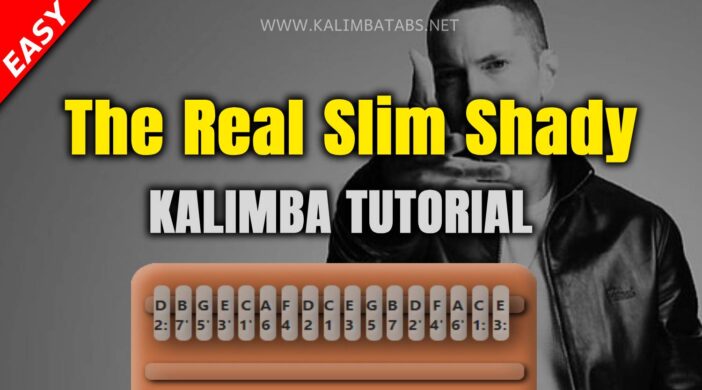 The-Real-Slim-Shady-702x390 The Real Slim Shady ringing tone  
