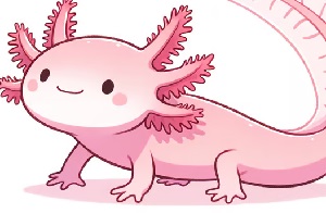 Ask An Axolotl - Dr. Waffle (EASY) Easy Kalimba Tabs viral tiktok song Penguin Kalimba tabs Kalimba Cove Dr. Waffle Children's Music catchy melody Axolotl Ask an Axolotl 2025 17 Keys axolotl Ask An Axolotl - Dr. Waffle (EASY)