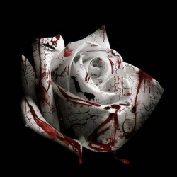 romantic-homicide Romantic Homicide - d4vd 