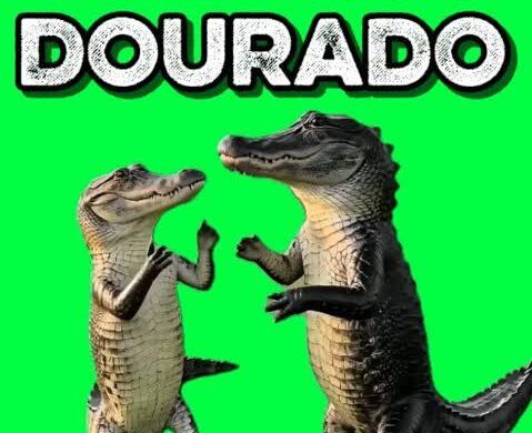 1000000578-479x390 Alecrim Dourado Meme  